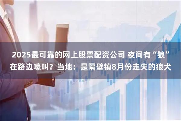 2025最可靠的网上股票配资公司 夜间有“狼”在路边嚎叫？当地：是隔壁镇8月份走失的狼犬